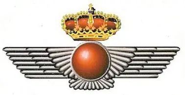 ejercito_aire_espacio